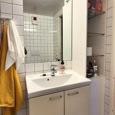 Charm & Balcony In Apartment Oslo